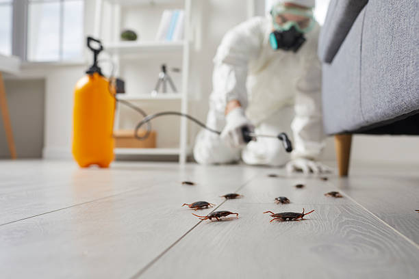 Commercial Kitchen Cockroach Control in Greenacres